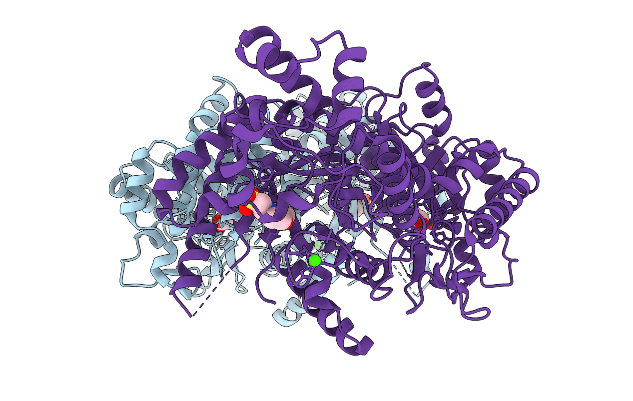 4F9J image