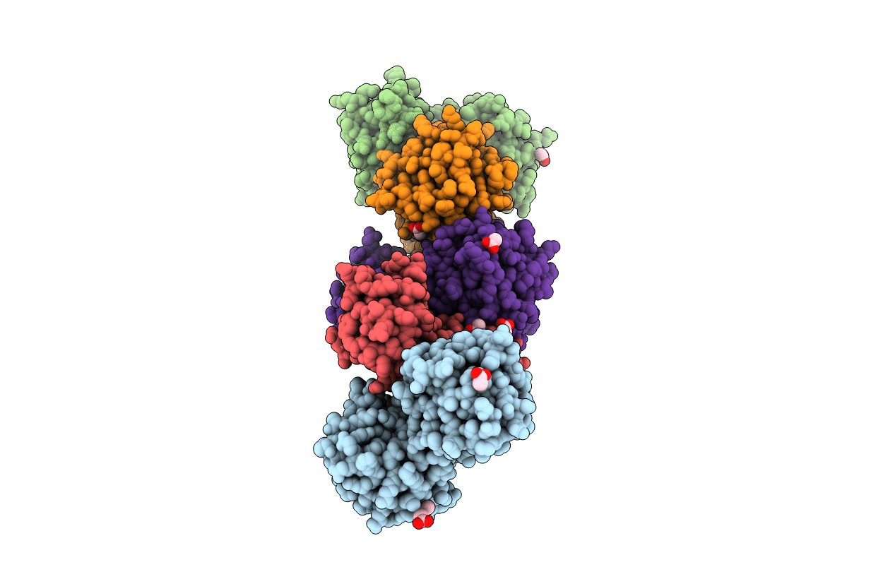 4F9Z image