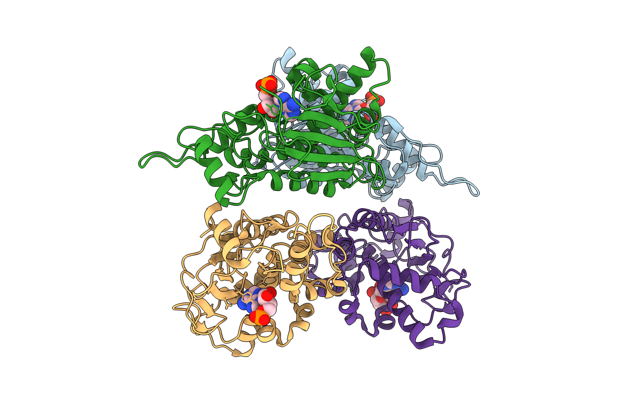 4FBC image