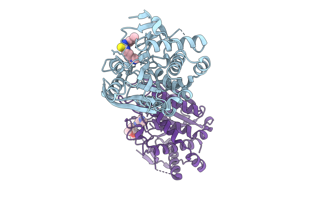 4FBE image