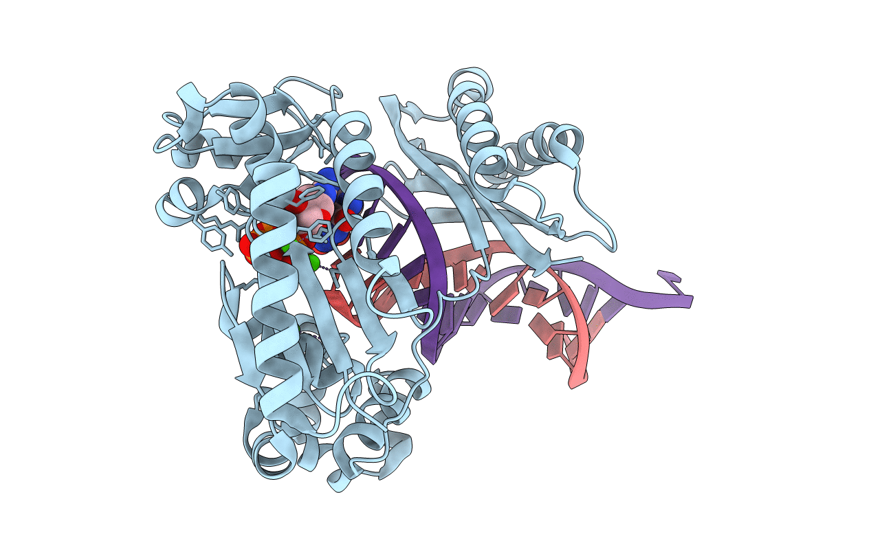 4FBT image