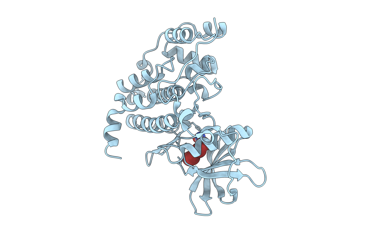 4FBX image
