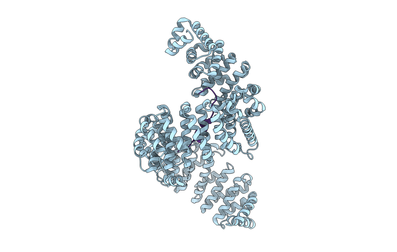 4FDD image