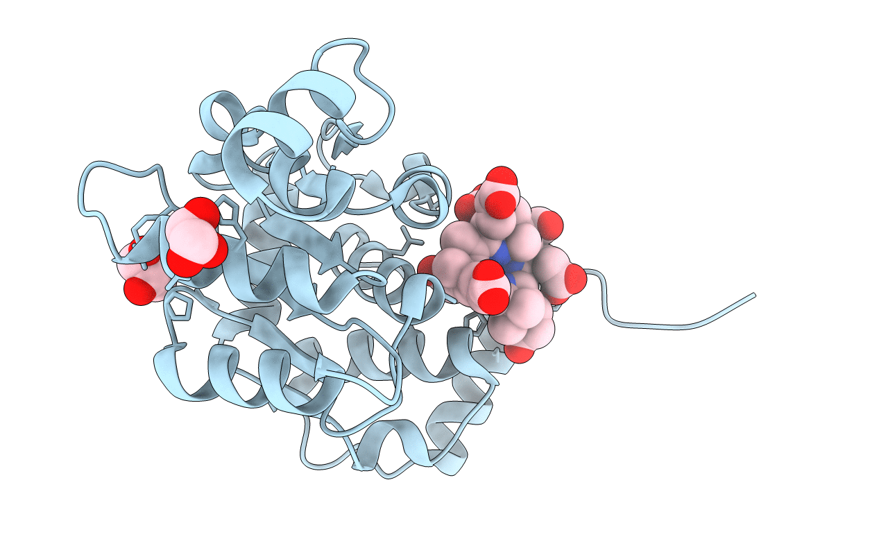 4FDV image