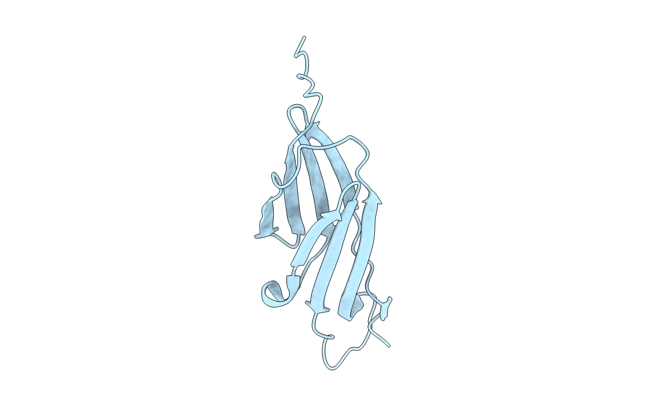 4FEI image