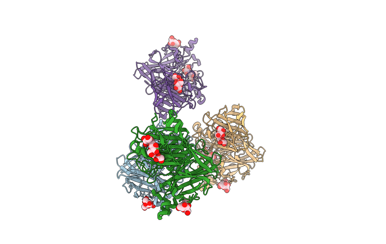 4FFI image