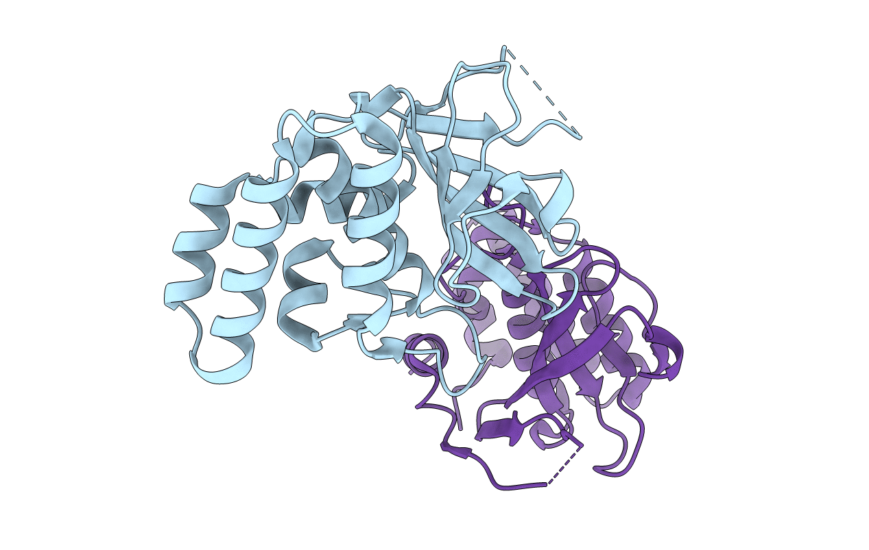 4FGP image