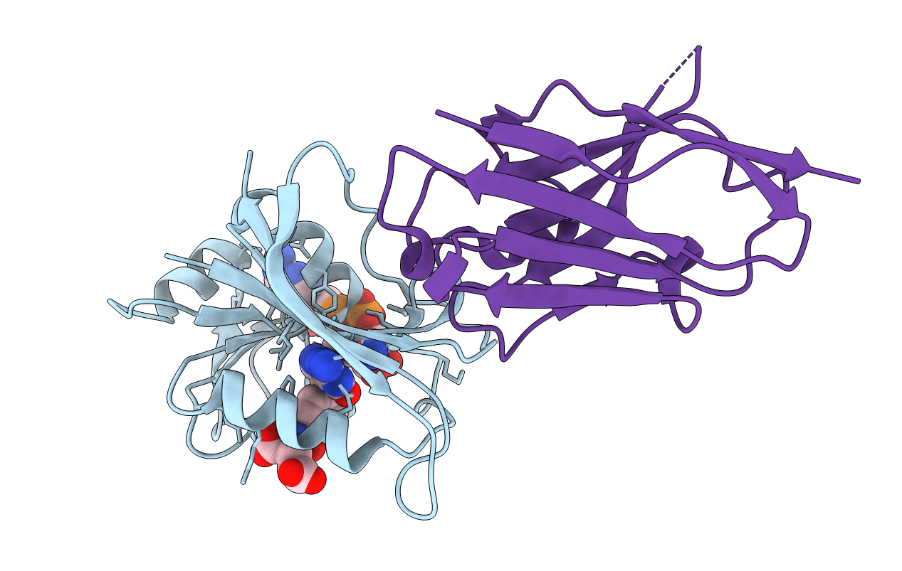 4FHB image