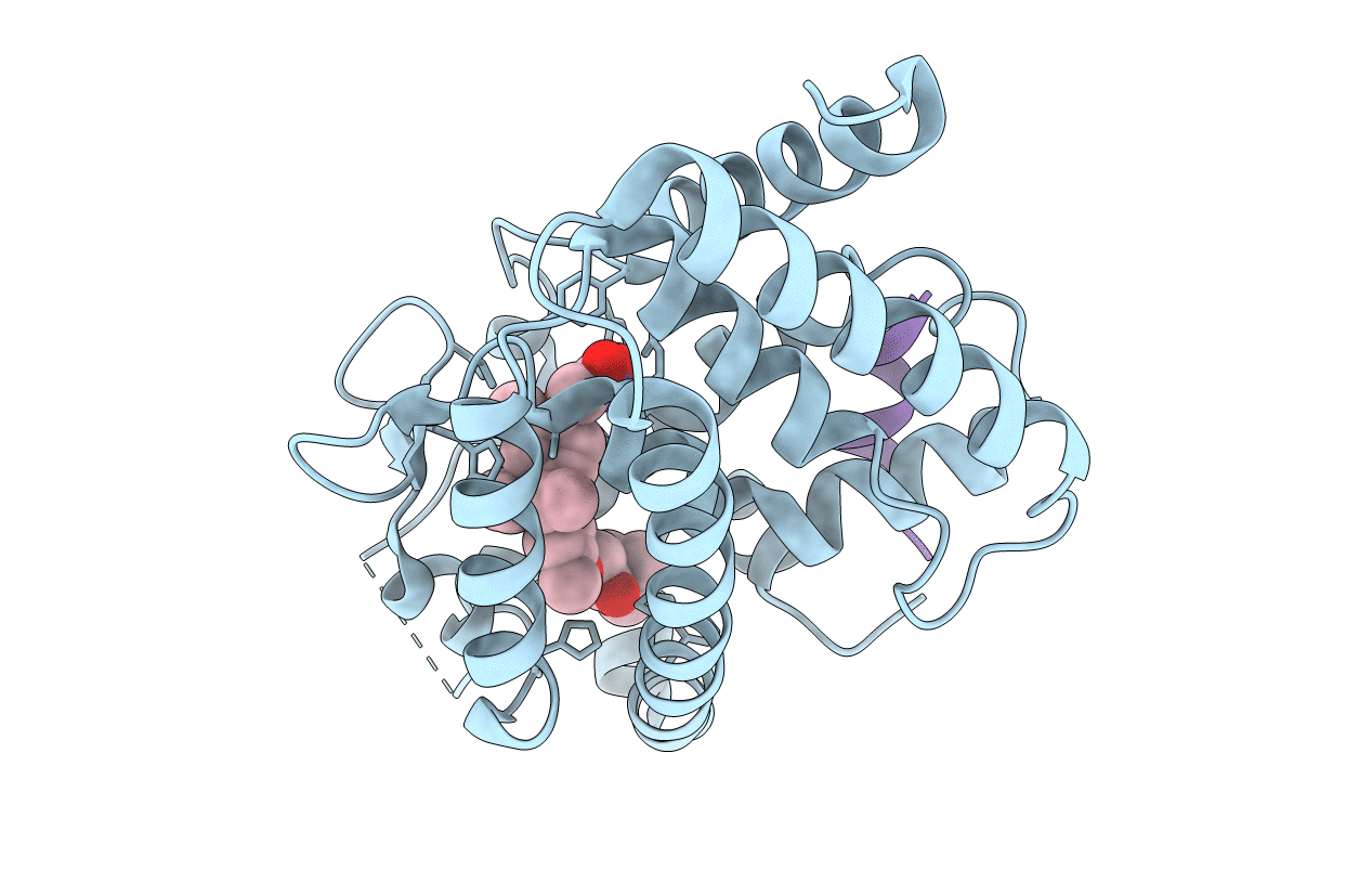 4FHI image
