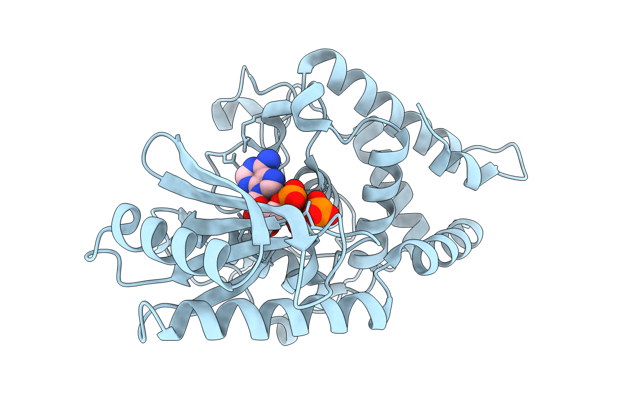 4FHX image
