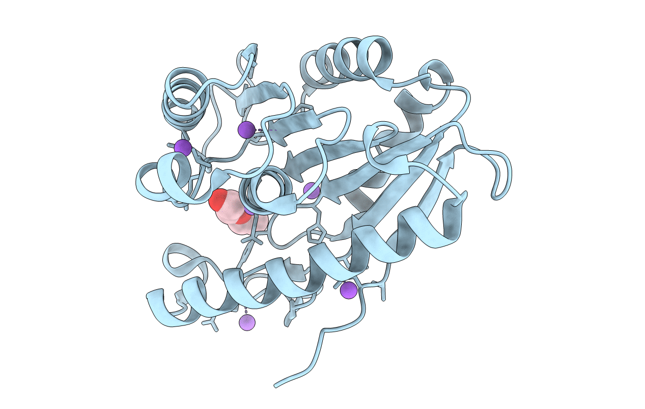 4FHZ image