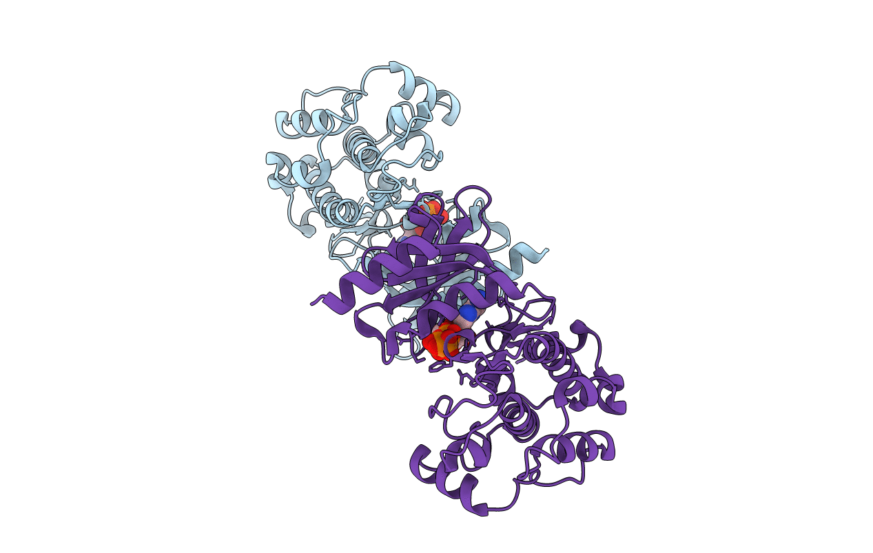 4FIG image