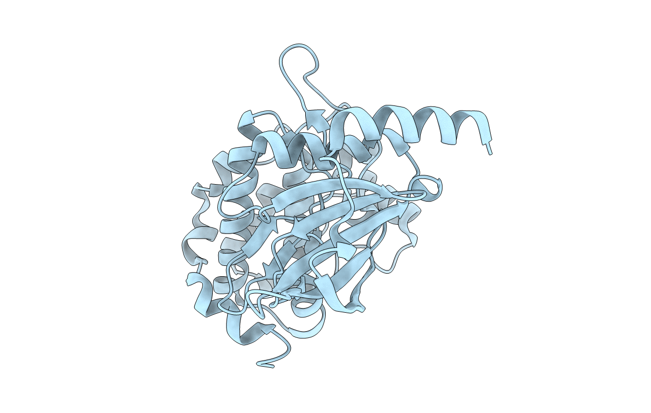 4FIH image
