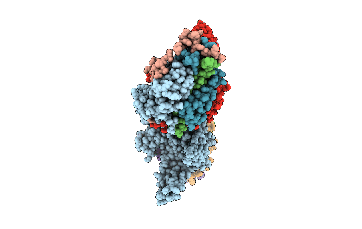 4FIP image