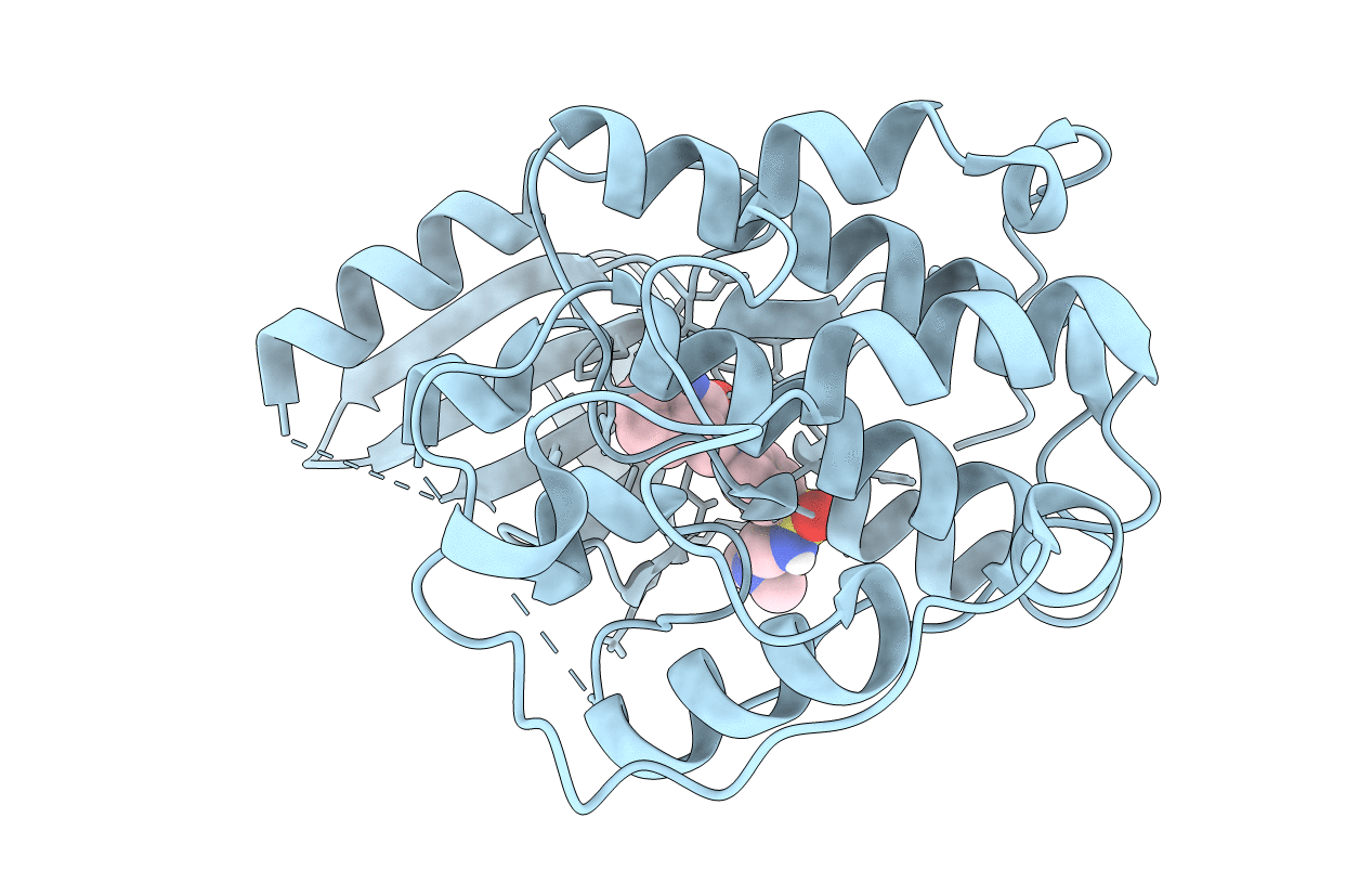 4FKT image