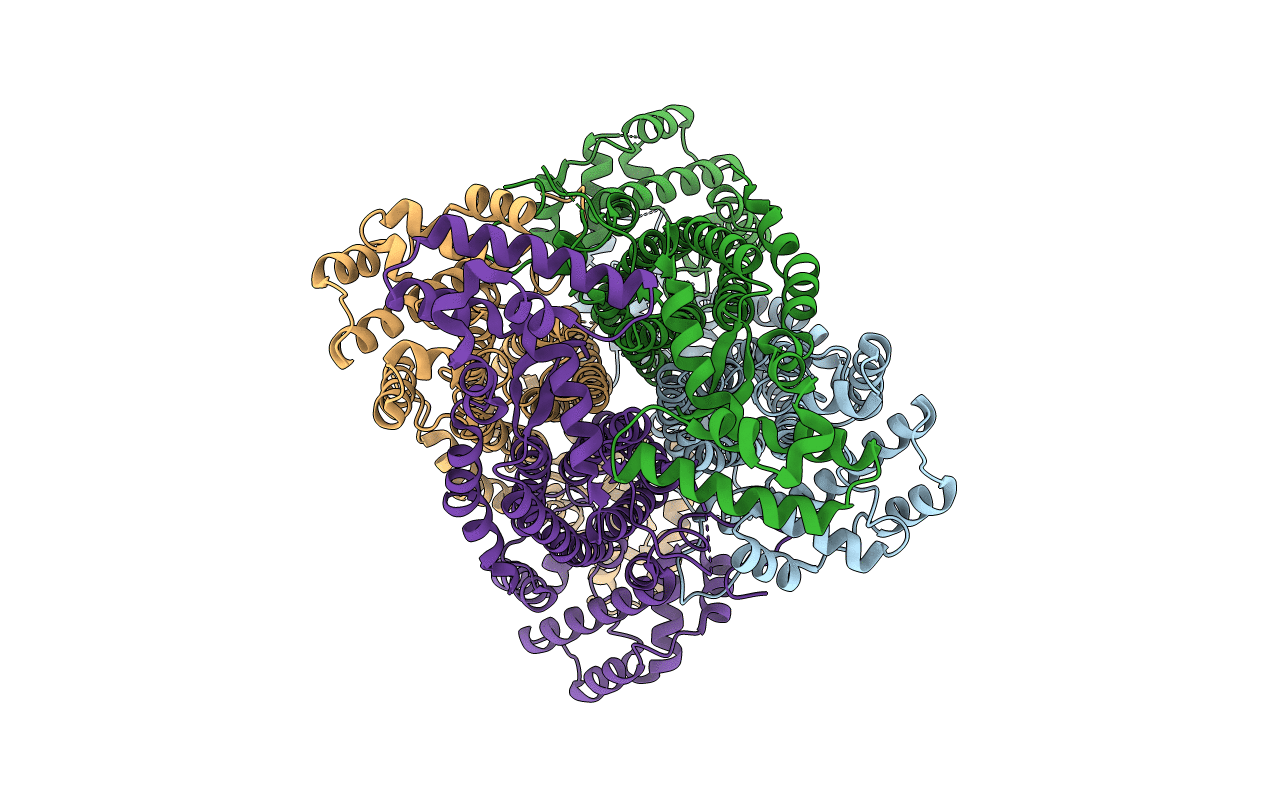 4FLC image