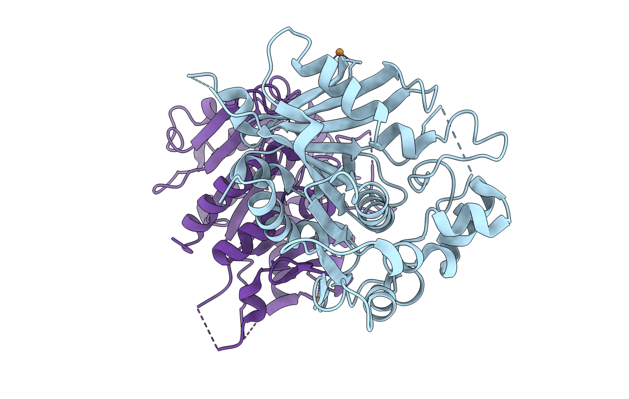 4FLM image