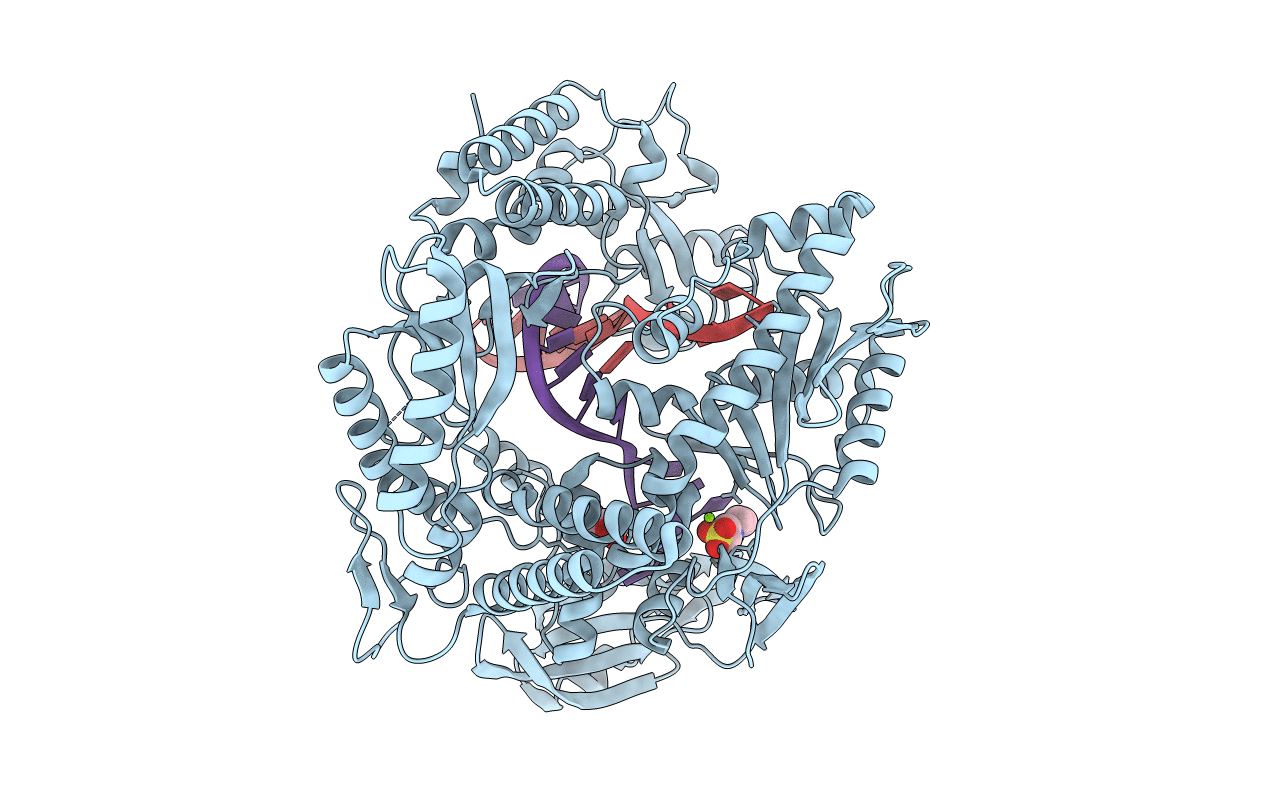 4FLU image