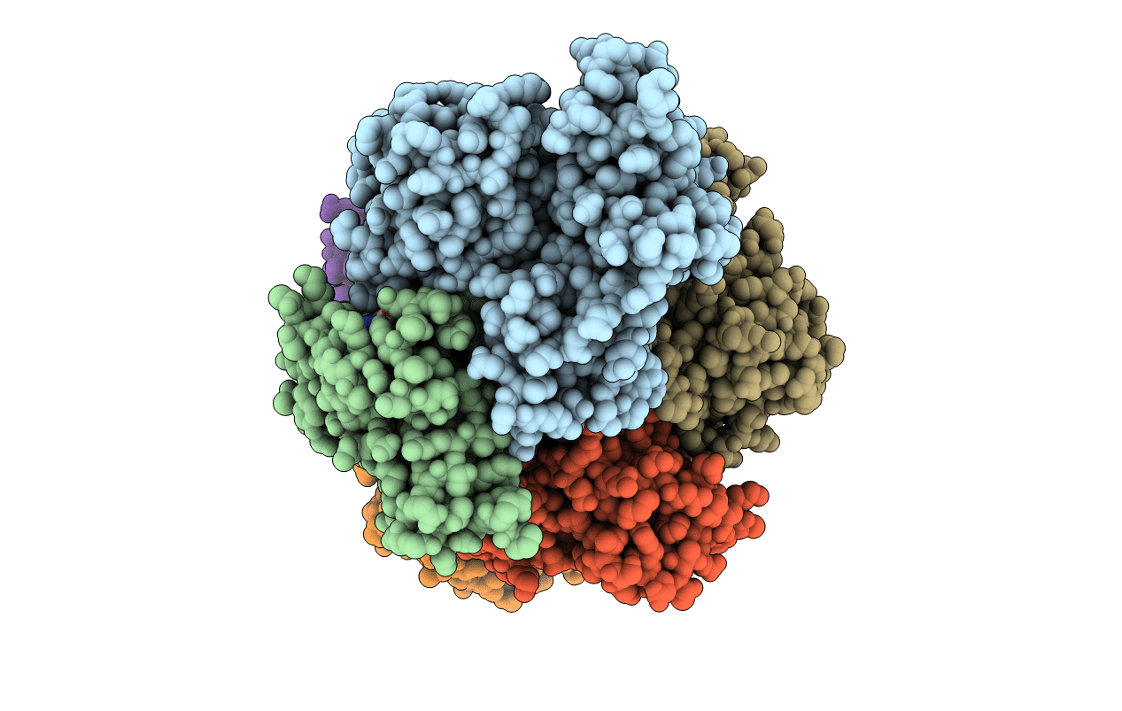 4FMC image