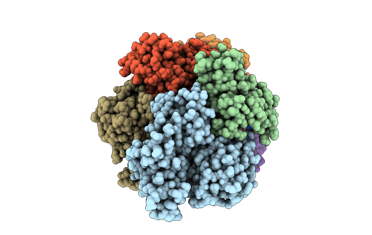 4FMD image