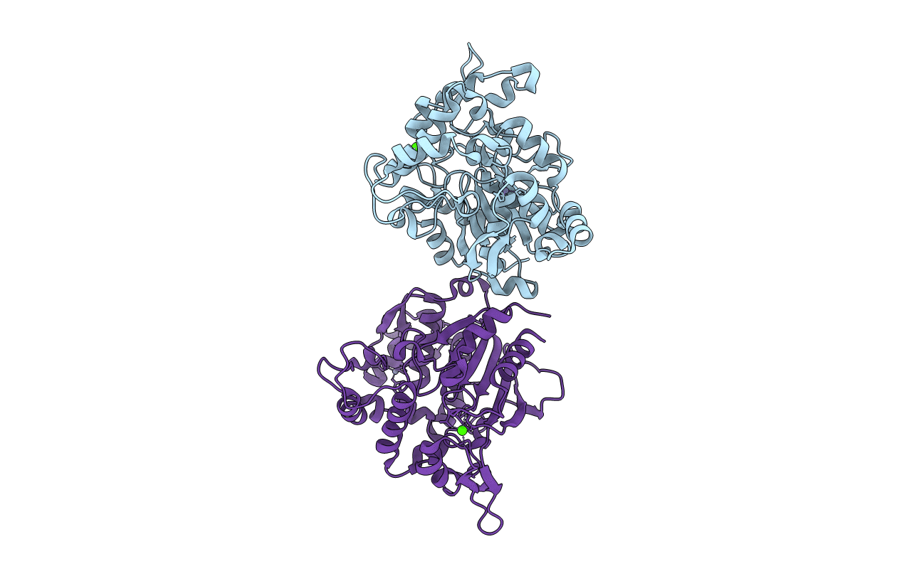 4FMP image
