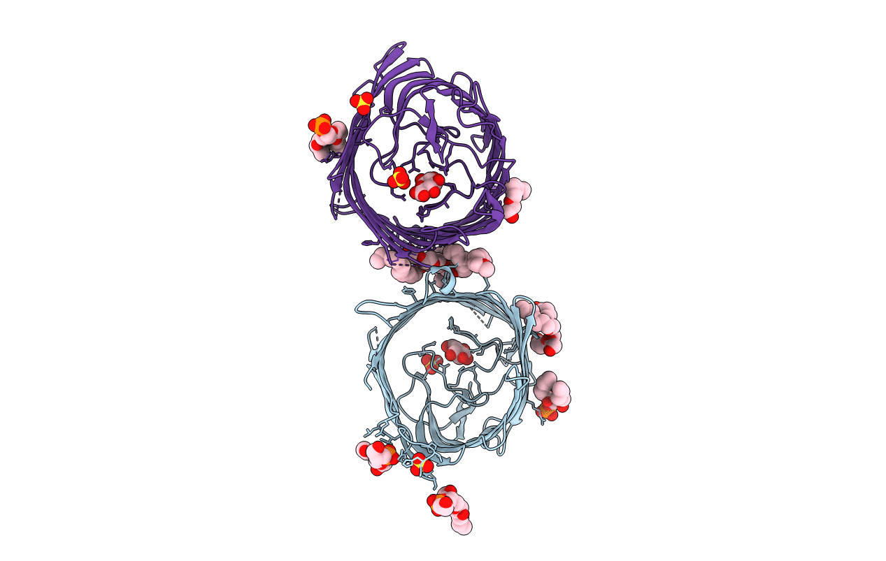 4FMS image