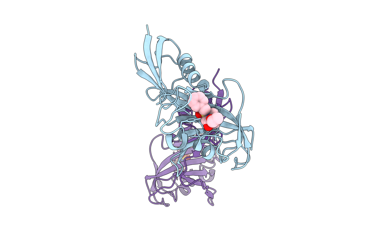 4FN2 image