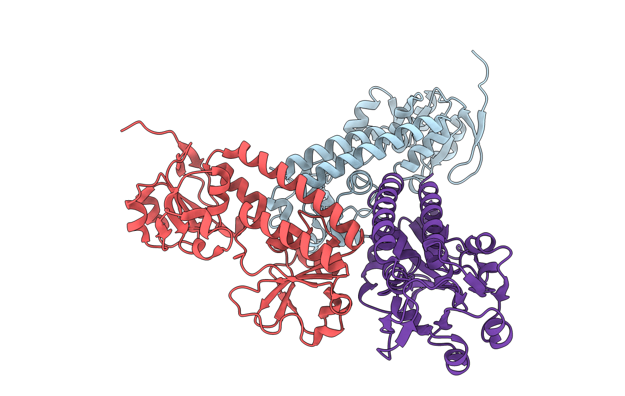 4FNA image