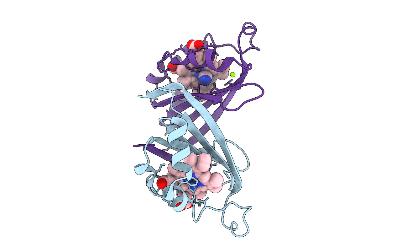 4FNI image