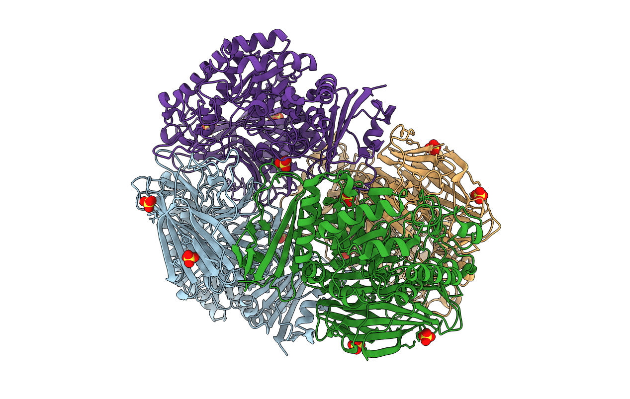 4FNP image
