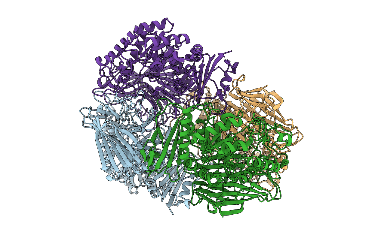 4FNR image