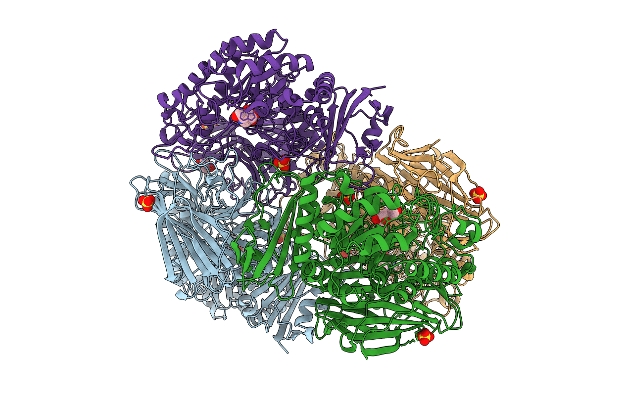 4FNS image