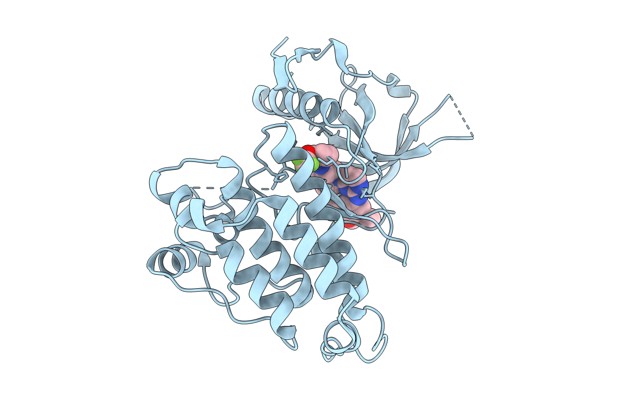 4FNZ image