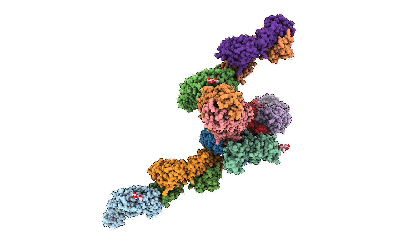 4FP8 image