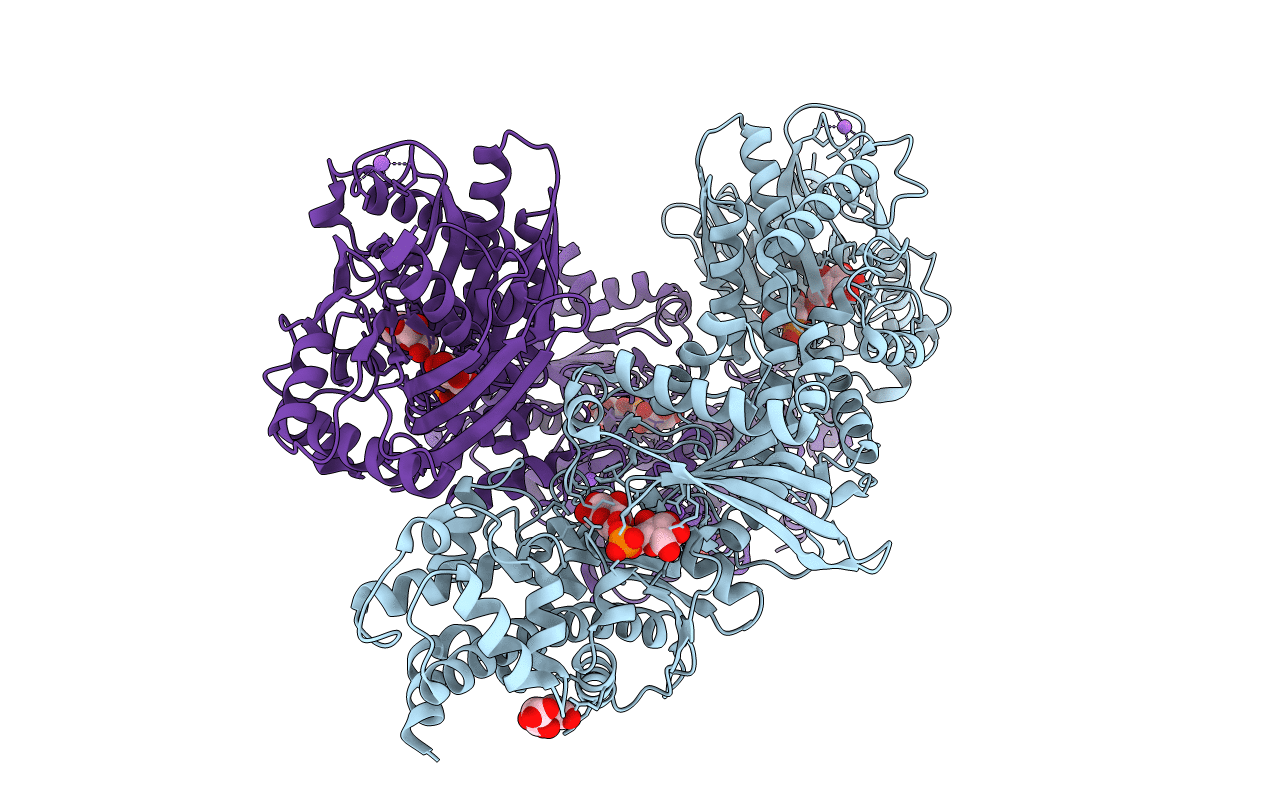 4FPA image