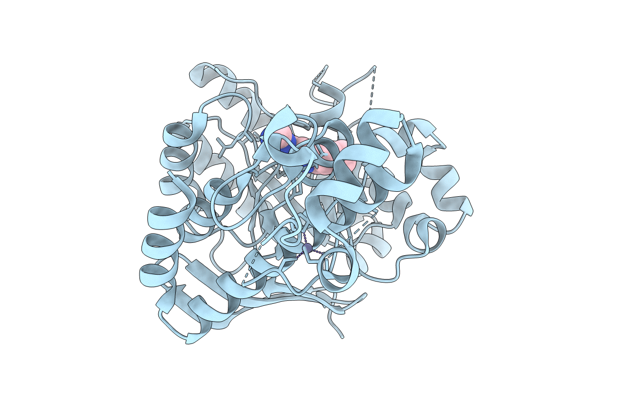 4FR1 image