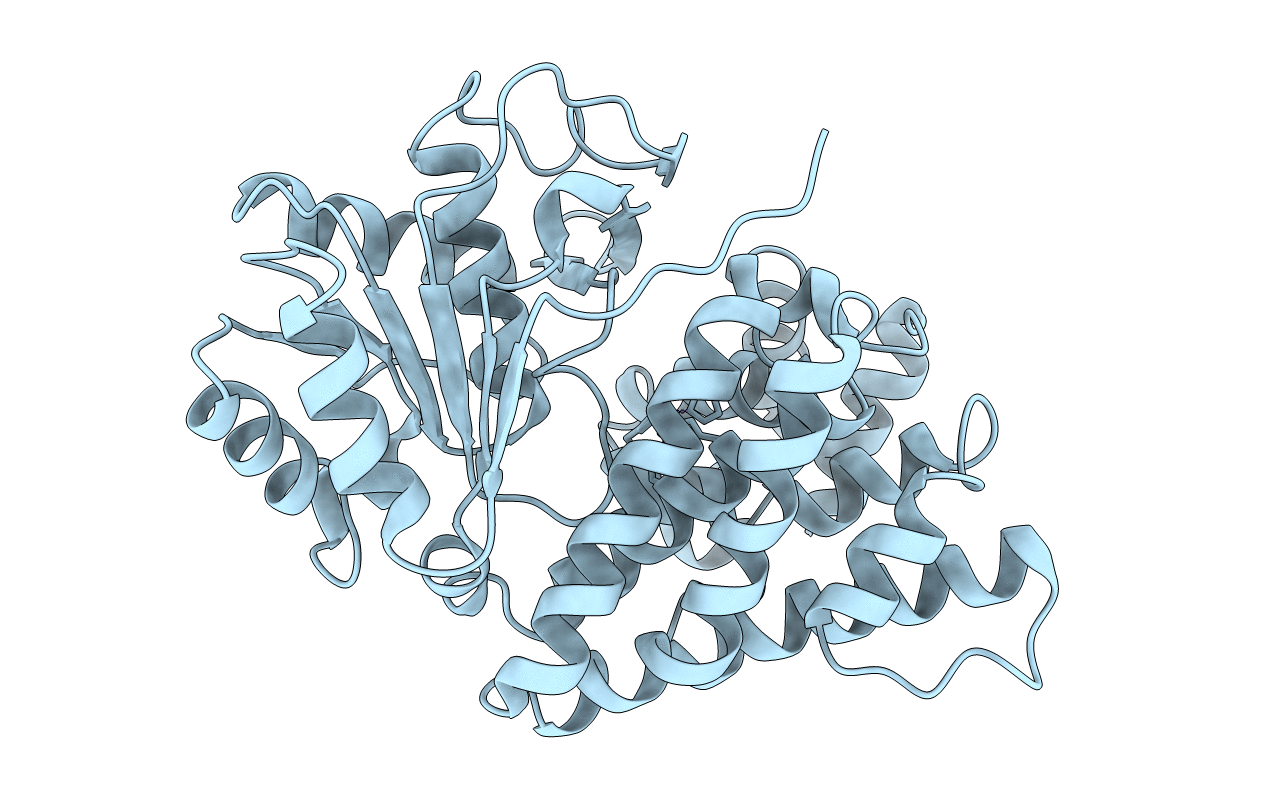 4FR2 image