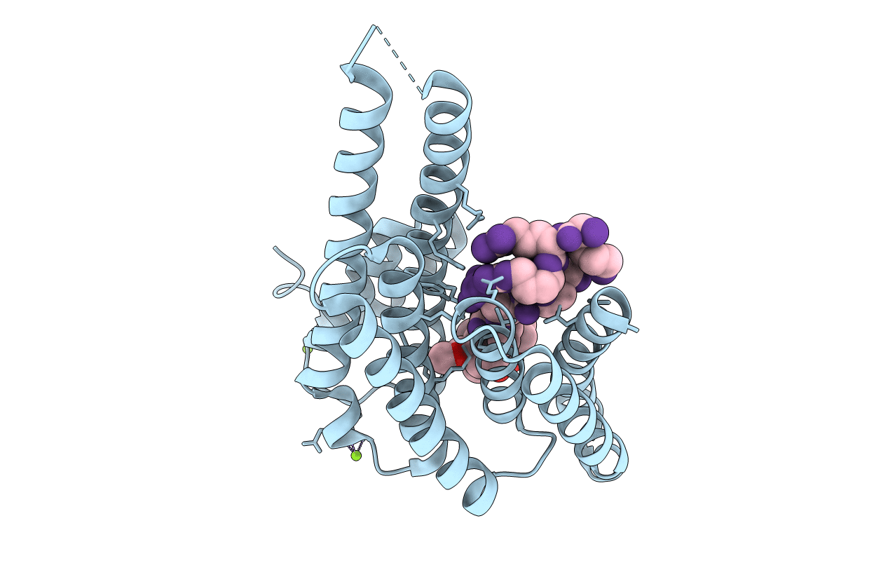 4FR3 image