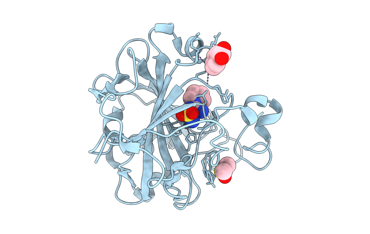 4FRC image