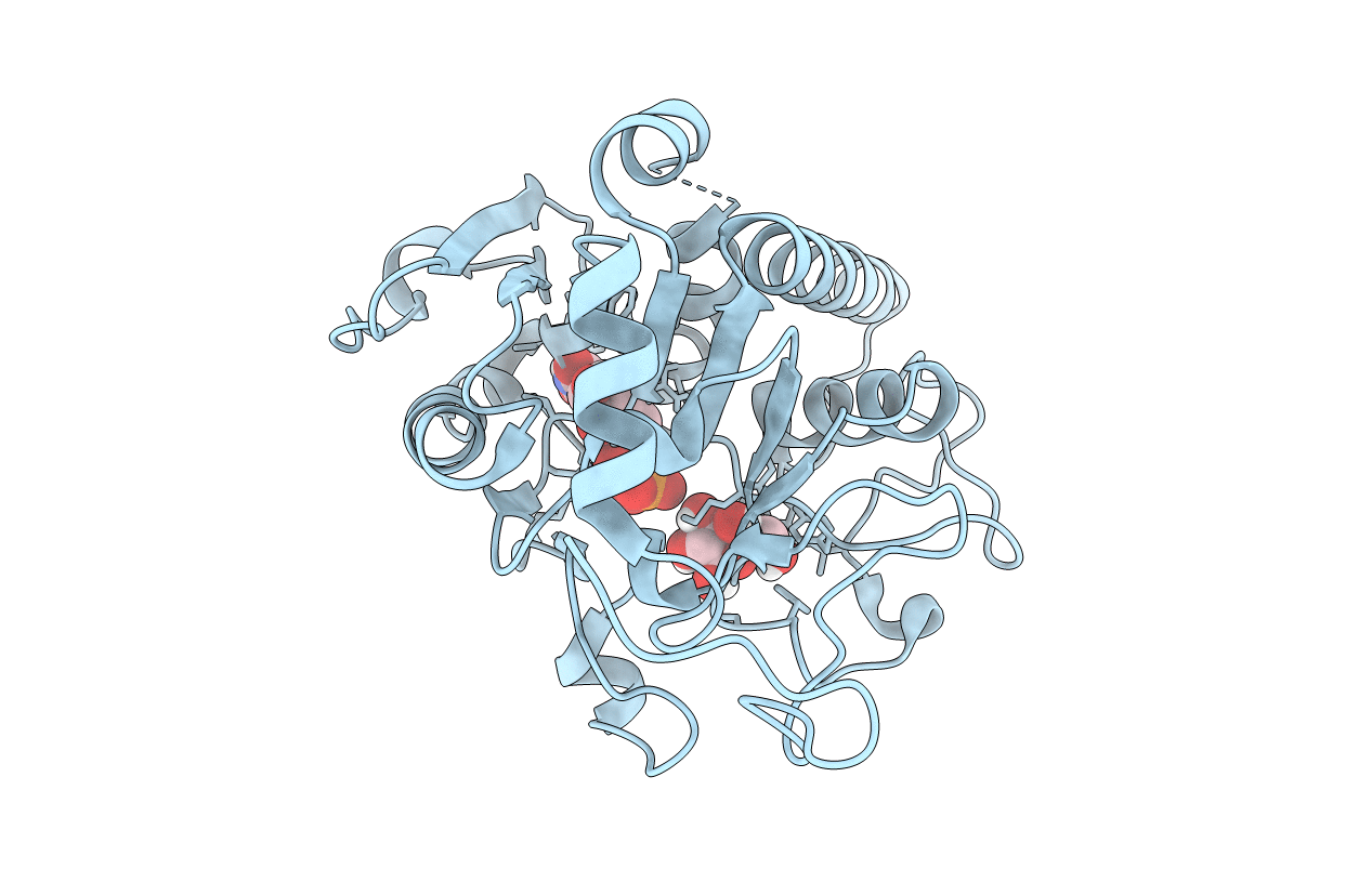 4FRL image