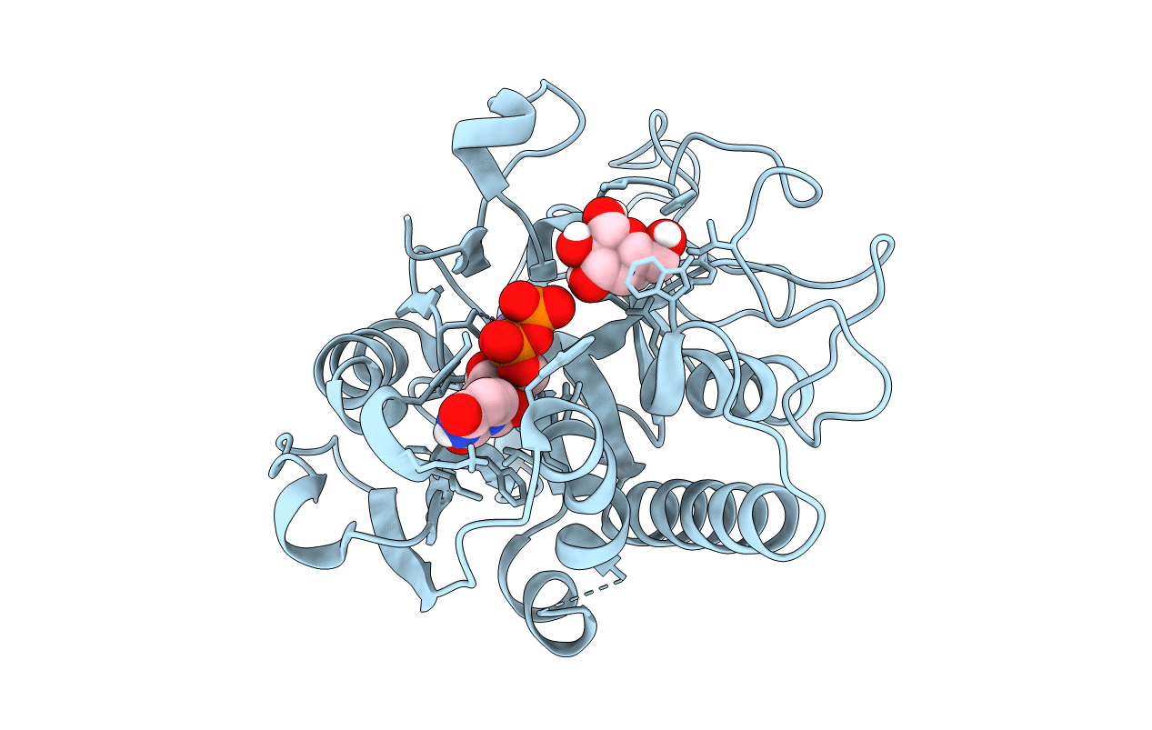4FRP image
