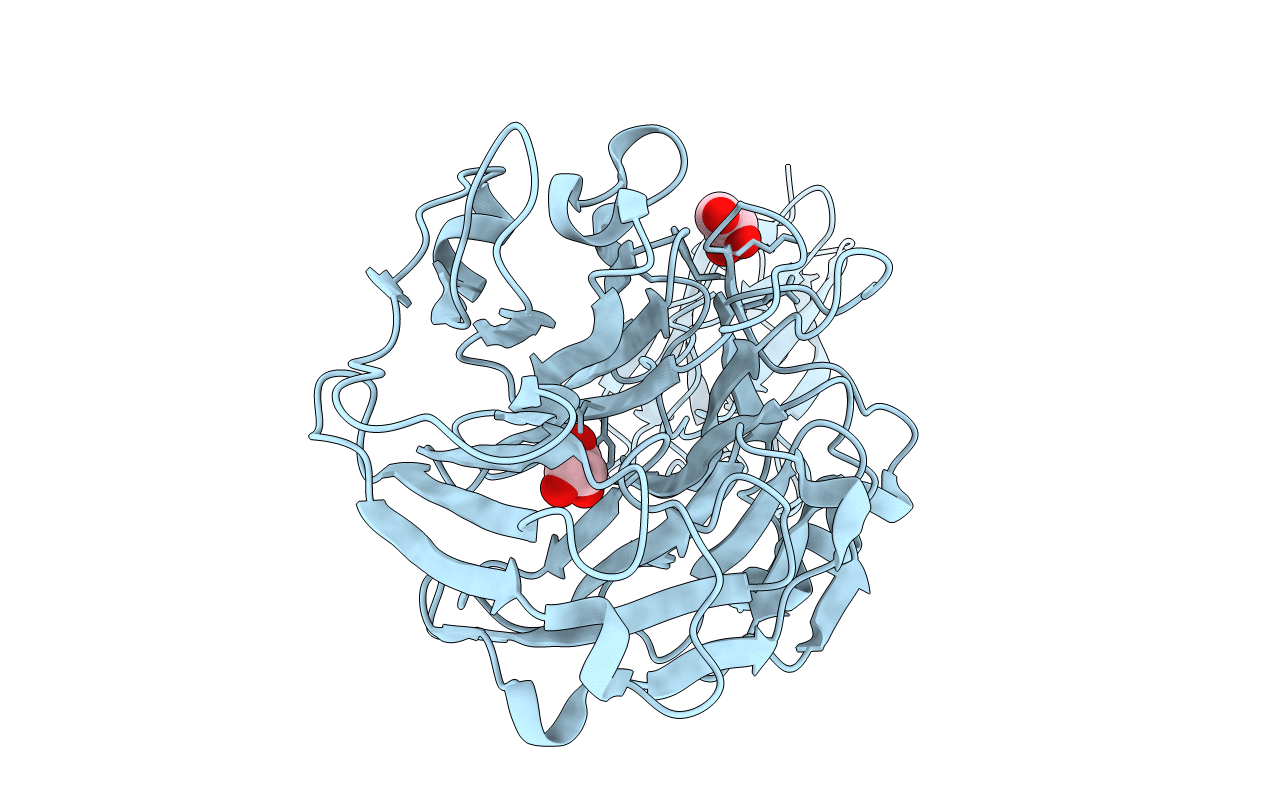4FTD image