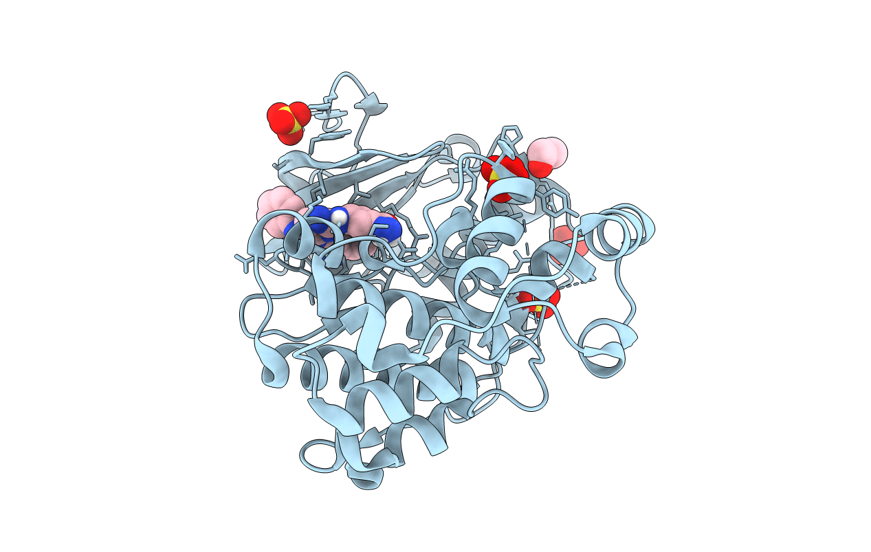 4FV8 image