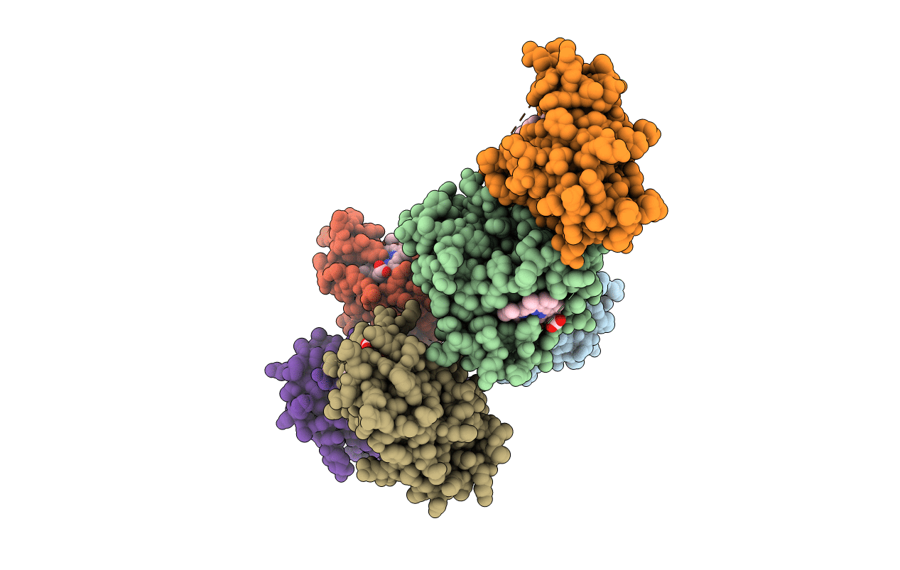 4FVC image