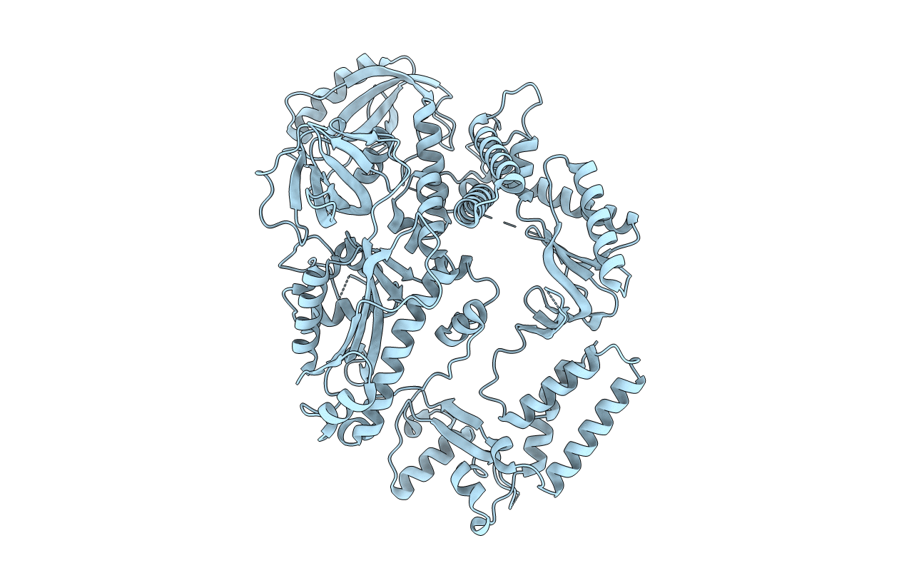 4FVM image
