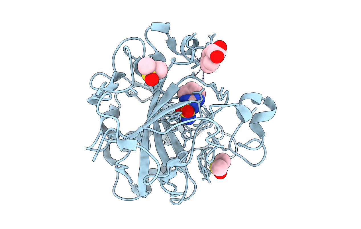 4FVN image