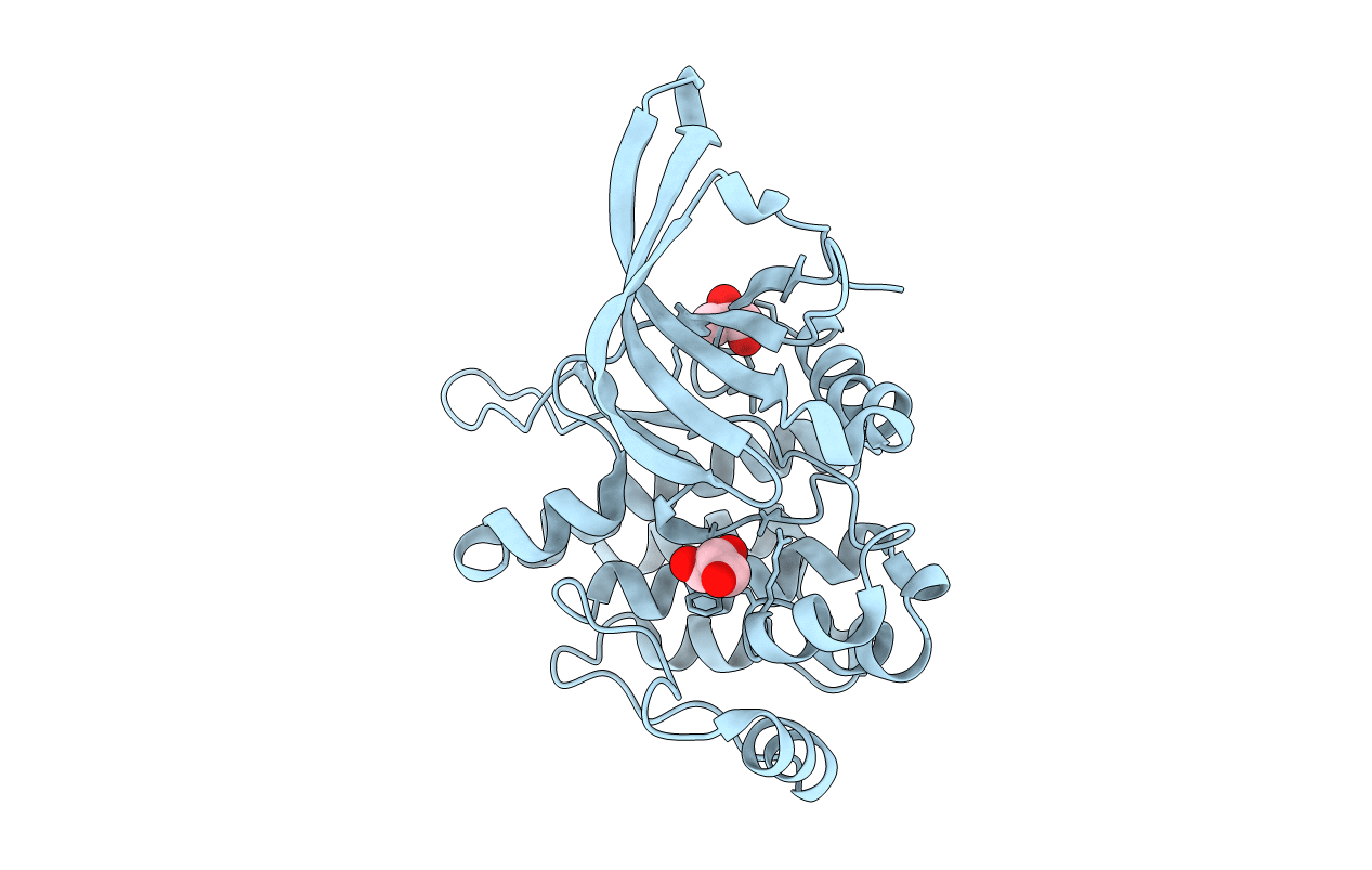 4FVP image
