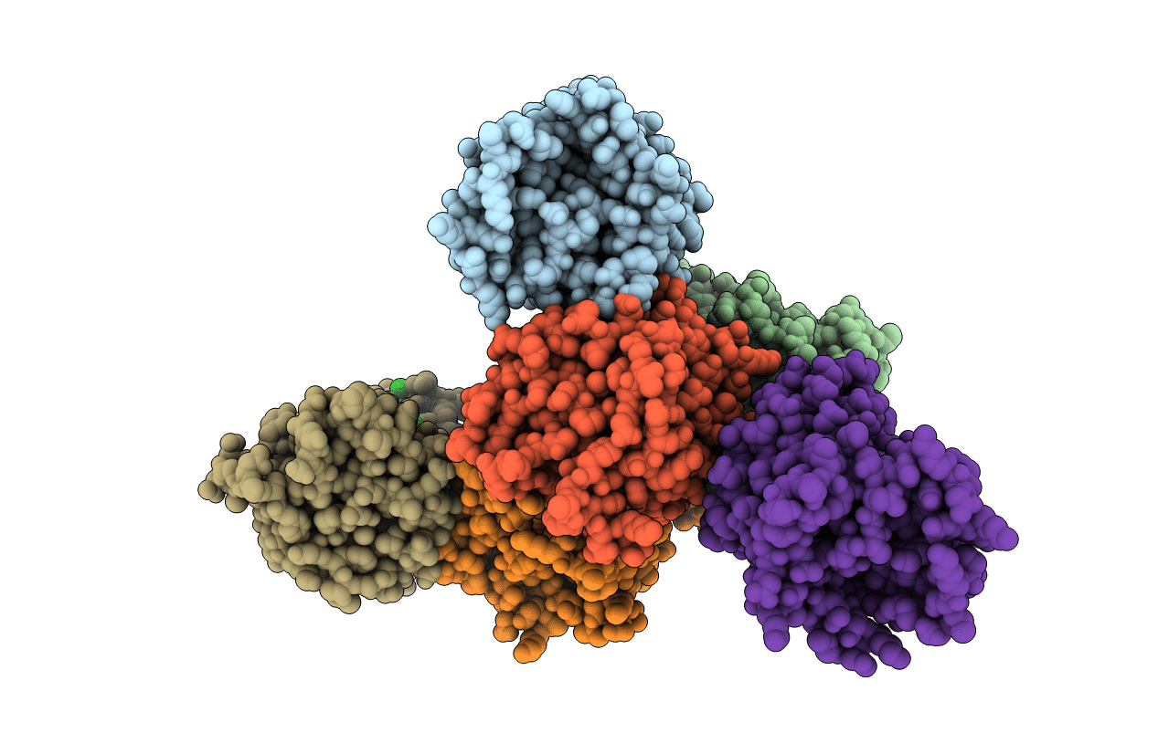 4FVS image