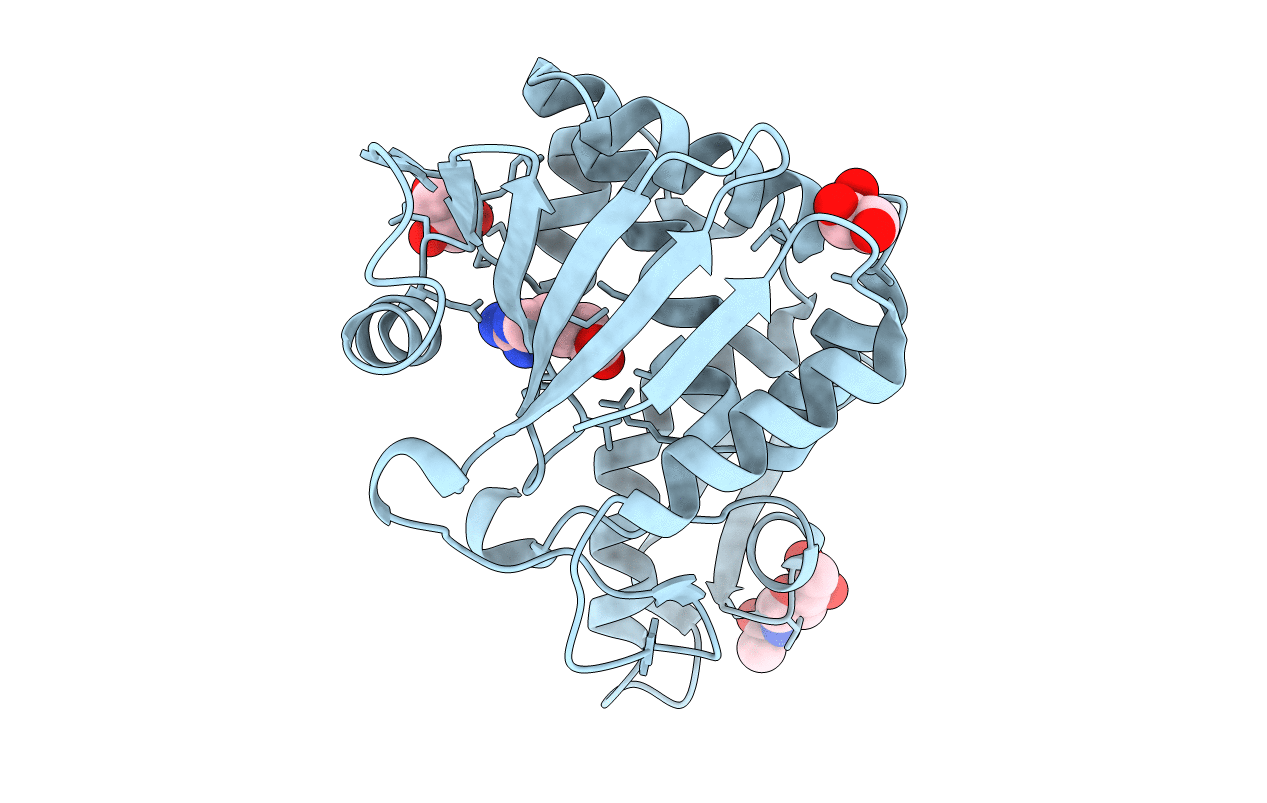 4FXA image