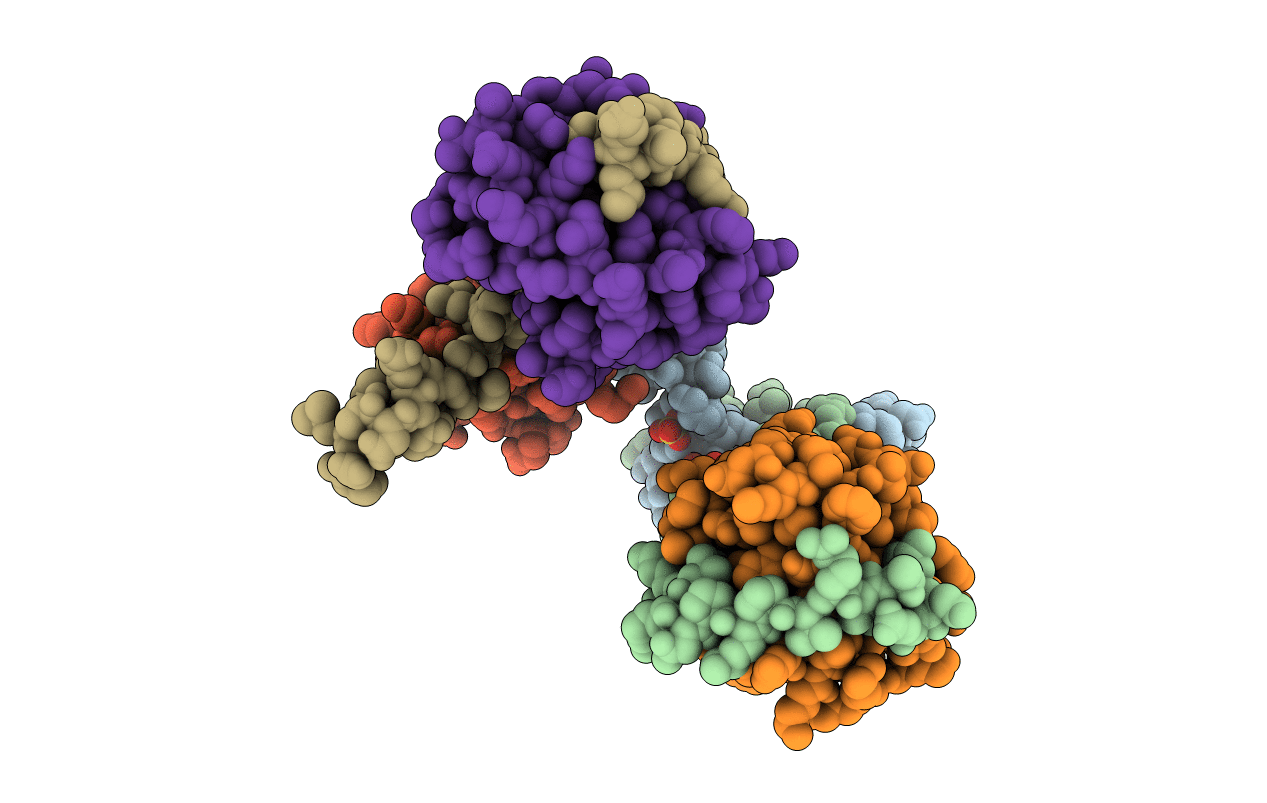 4FXE image
